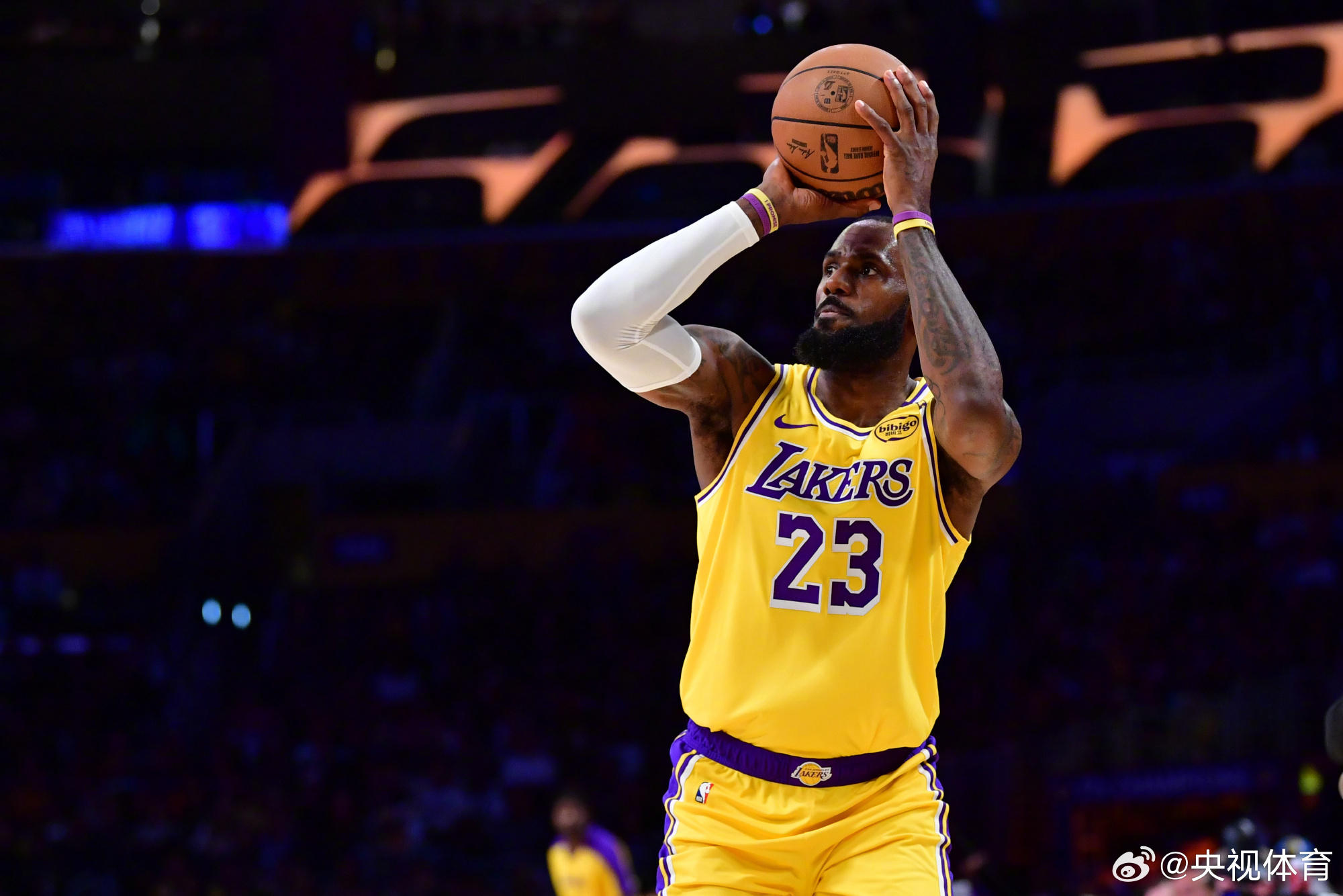 PG-包含詹姆斯关键节点精彩发挥，老鹰带队取胜！的词条